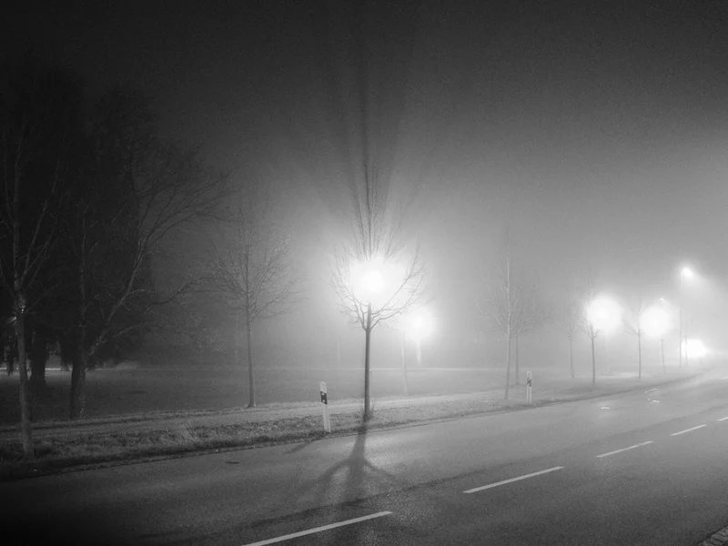 Foggy night street scene with glowing streetlights and barren trees.