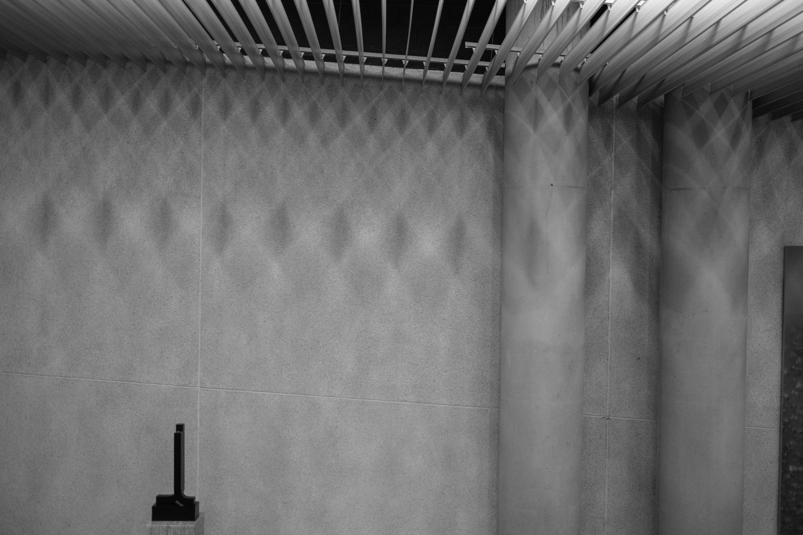 Monochrome image of architectural elements with a textured wall, vertical columns, and horizontal ceiling slats.