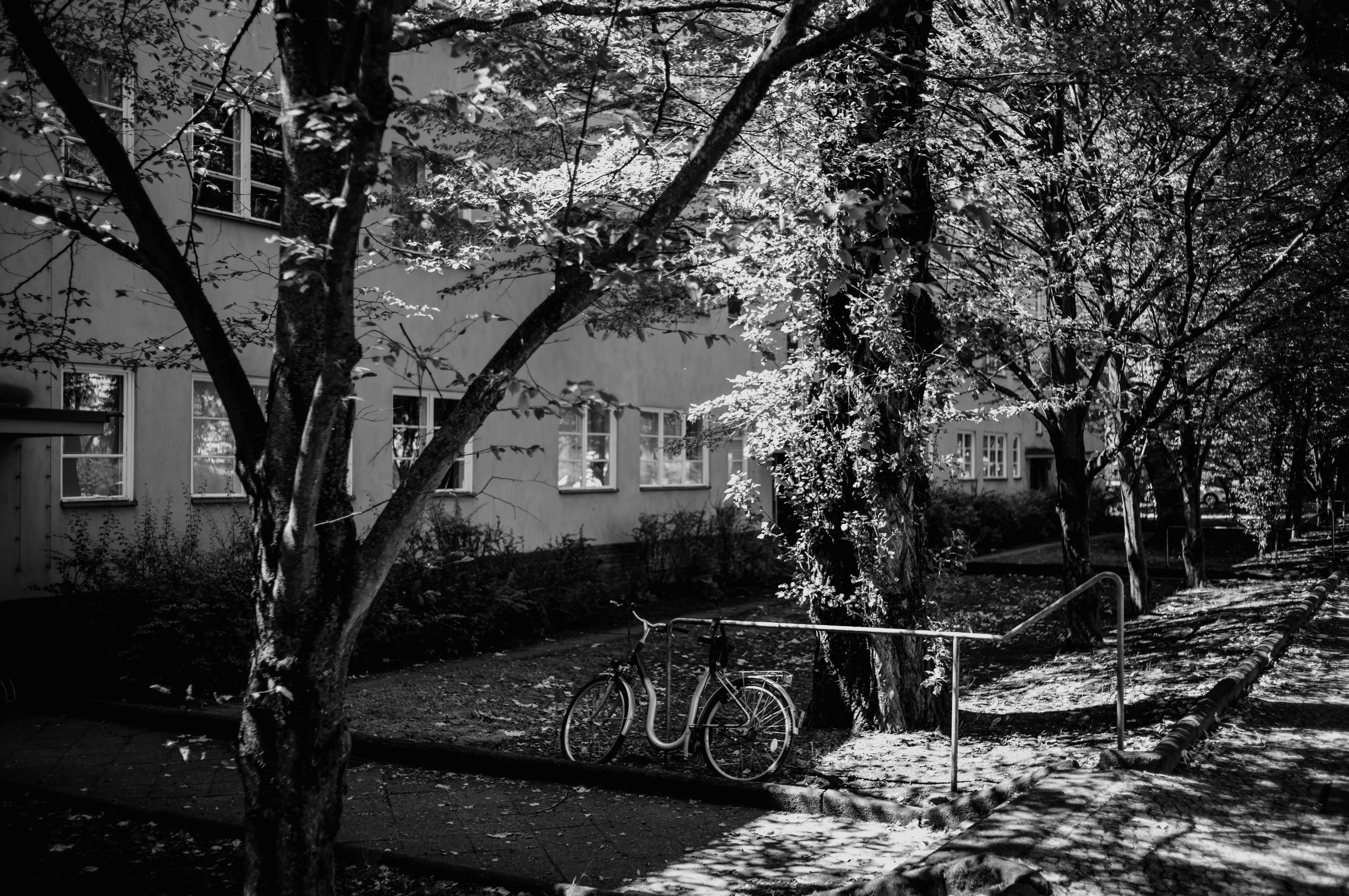 A black and white photo of a bicycle parked under trees along a residential street.