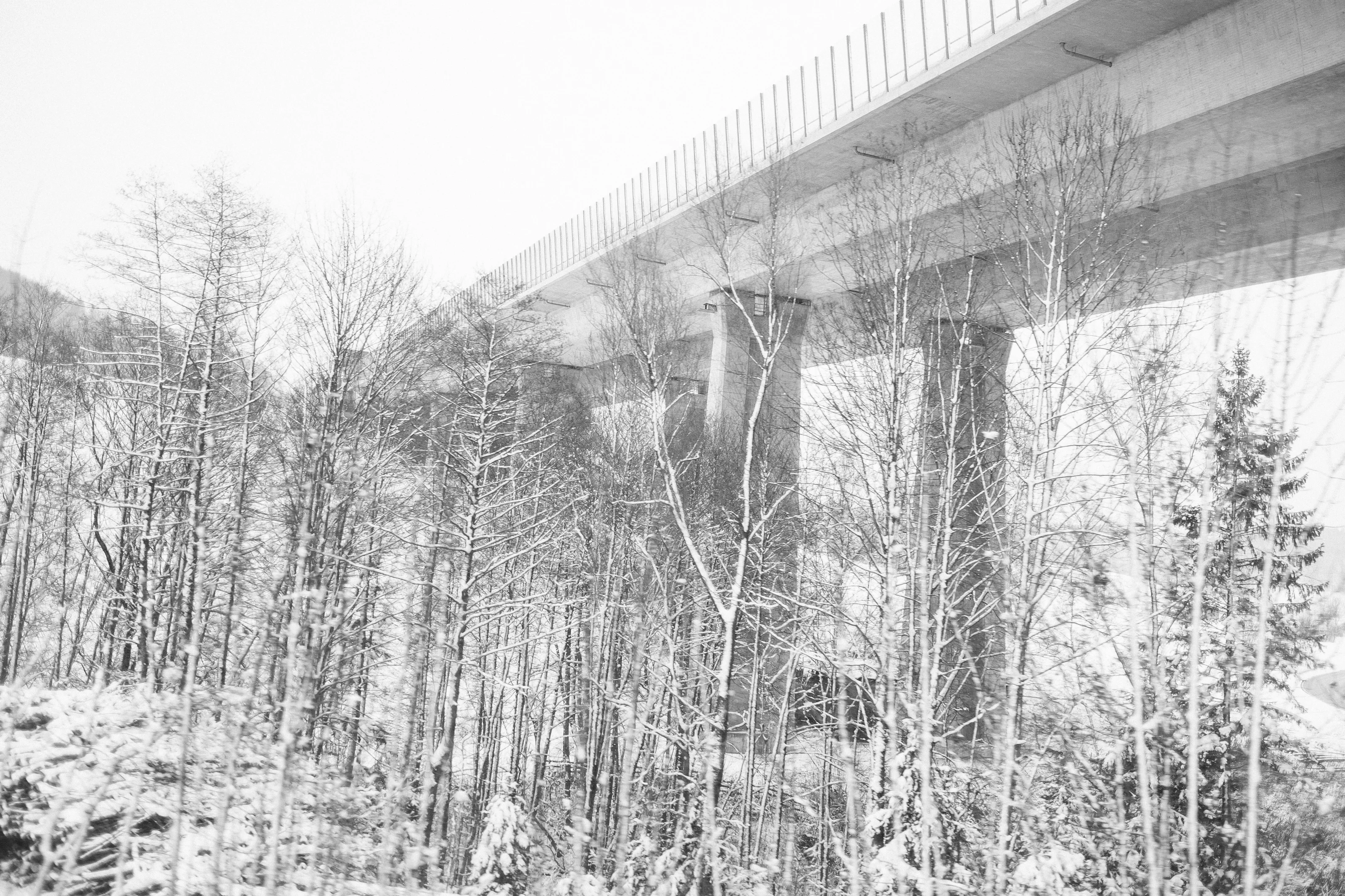 A snowy landscape with bare trees in the foreground and an elevated highway bridge in the background.