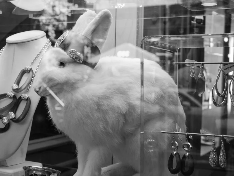 A display case with a white rabbit adorned with jewelry, surrounded by necklaces and earrings.