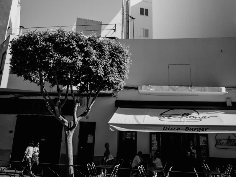 A black and white street scene with a tree in front of a building labeled 'Disco Burger' and people walking and sitting at tables.