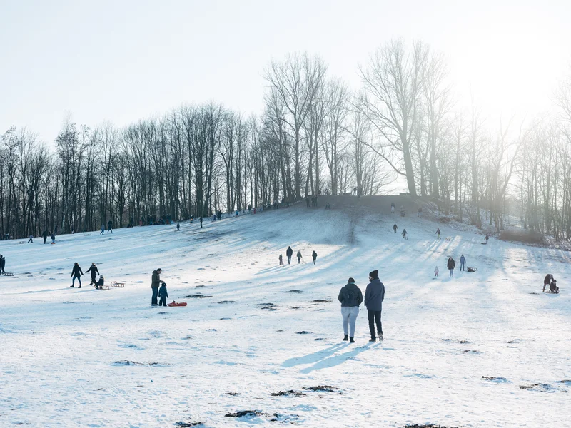 People enjoying a snowy hillside under a clear sky with bare trees in the background.