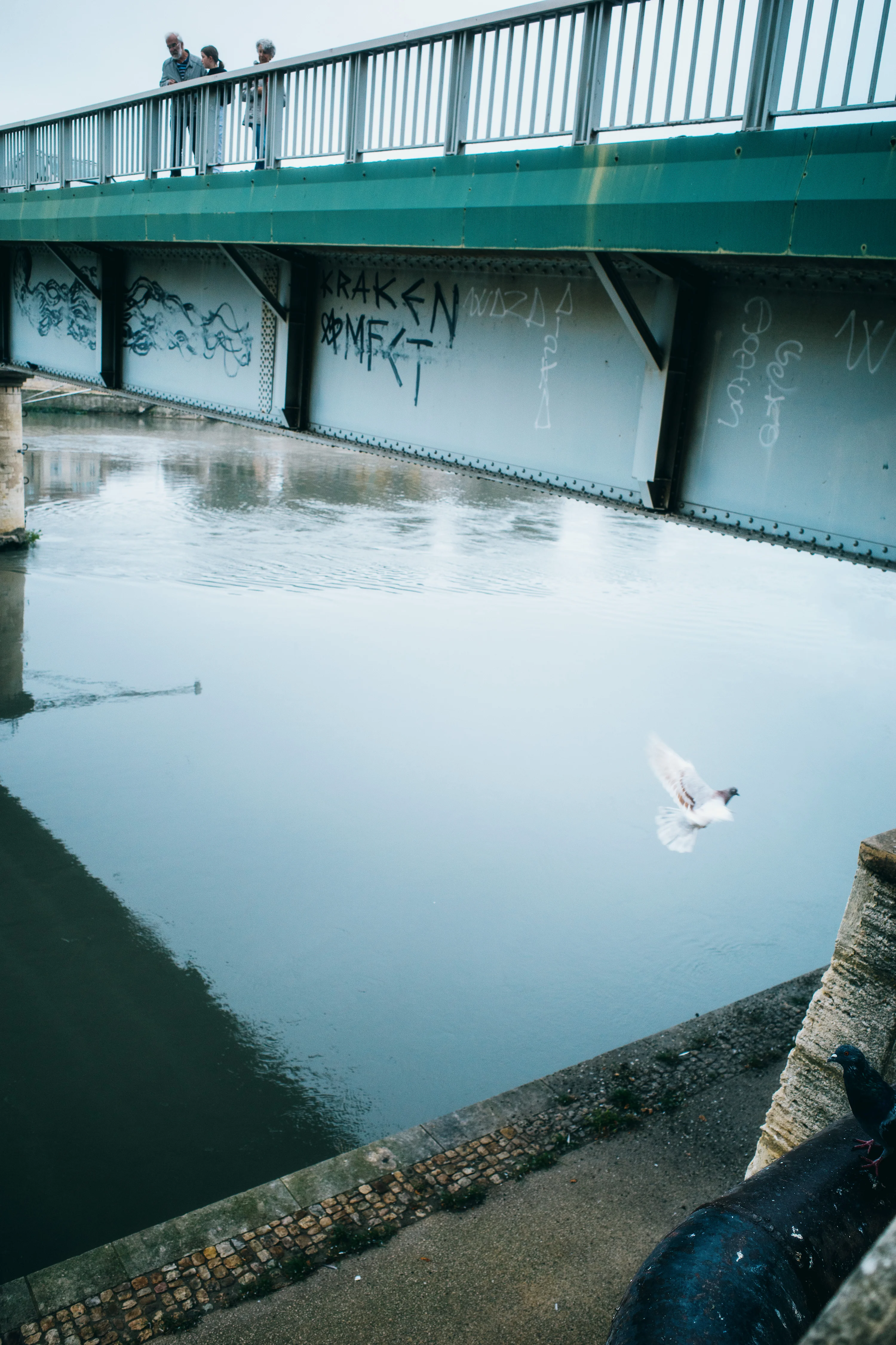 Three people standing on a graffiti-covered bridge over a river, watching a pigeon fly above the water.