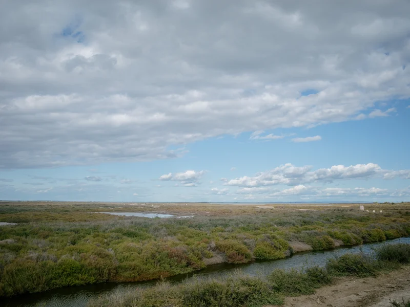 A marshland with patches of green vegetation under a cloudy sky.