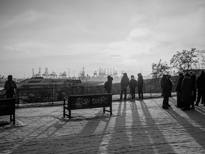 Silhouetted people stand on a snowy overlook with cranes in the distance.