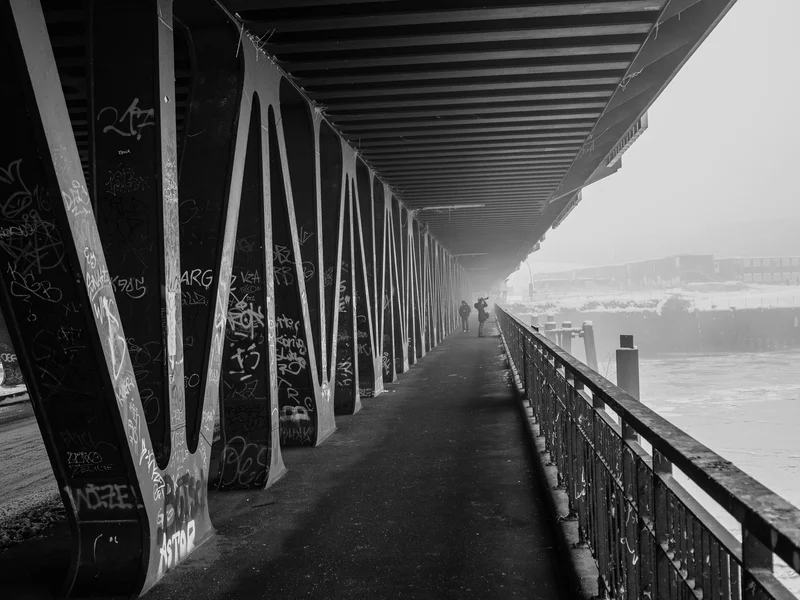 Black and white photo of a foggy pathway under a bridge with graffiti-covered support beams.