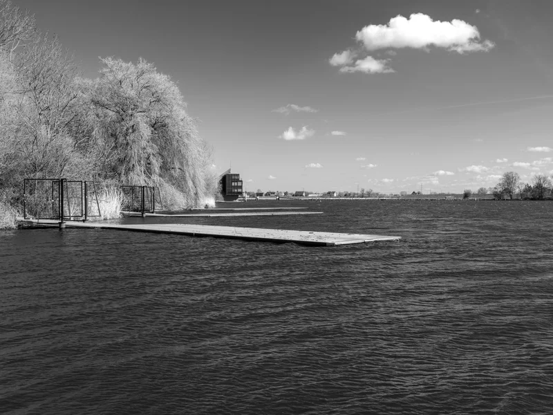 A serene lakeside scene with a wooden dock extending into the water beside tree-lined shores and a cloudy sky.